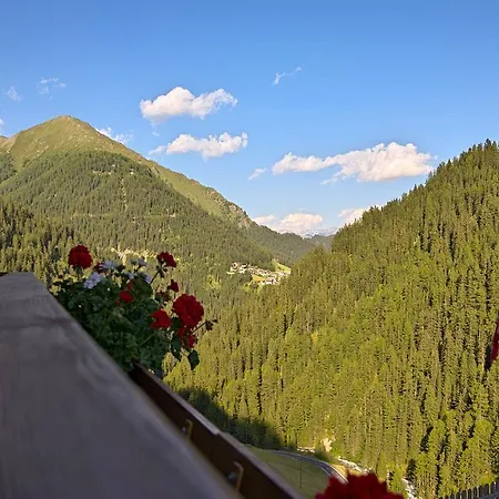 Chasa Vallaina 아파트 *